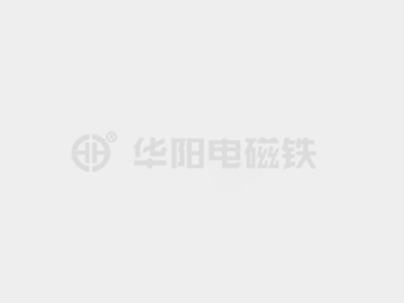 黑鸡巴肏屄免费视频防爆电磁铁的储存和维护较佳实践！